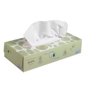 MARAMICE ZA LICE SCOTT KIMBERLY-CLARK 8837 100/1